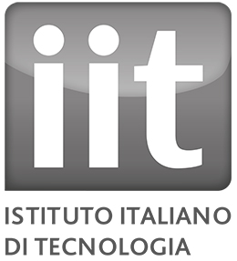 IIT